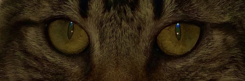 DrOpiodes's profile banner image
