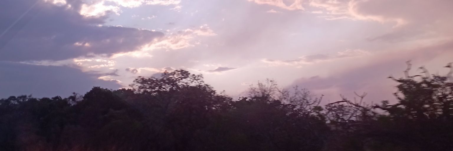 tecoravasio's profile banner image