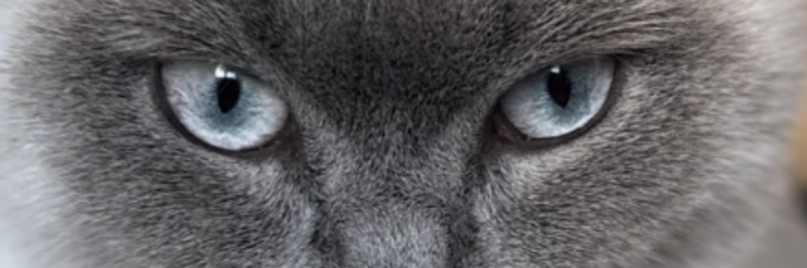 JoeHowell5's profile banner image