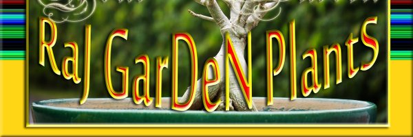 rajsol29 Profile Banner