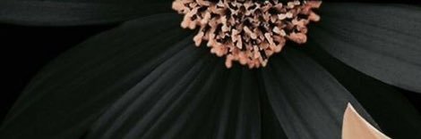 JulMarino's profile banner image