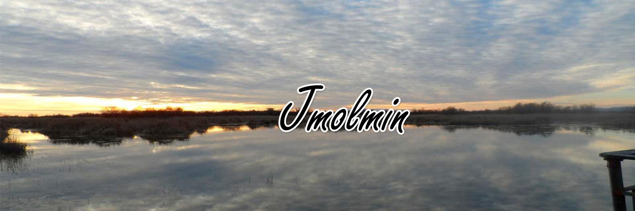 Javi banner