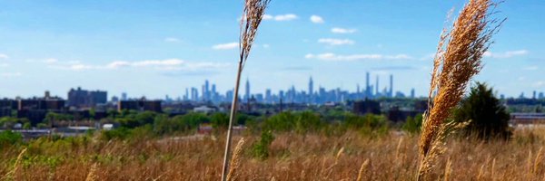 Ghitelman Profile Banner