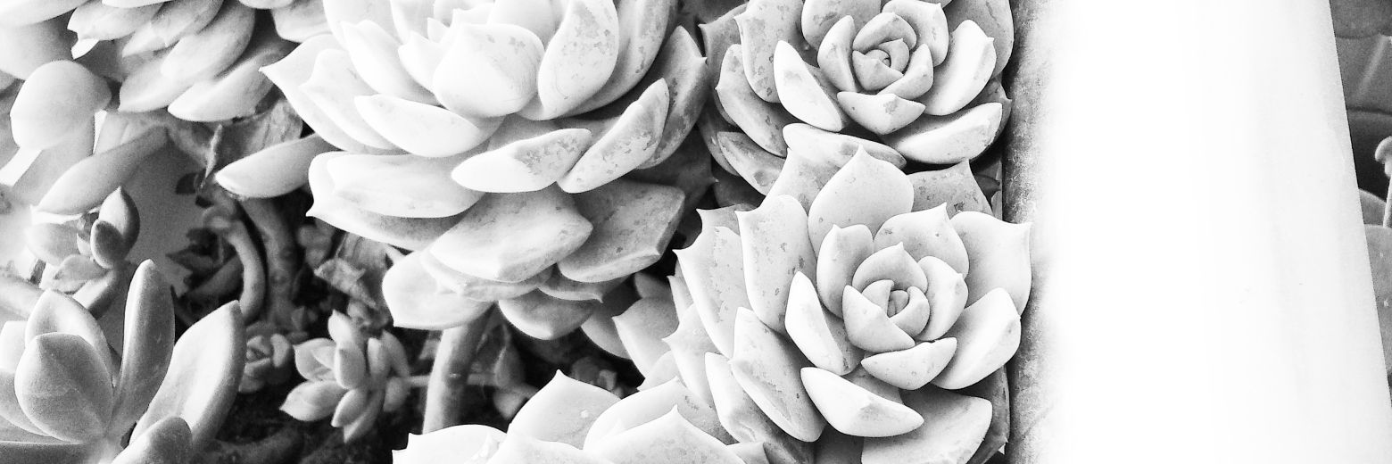 ZeynepA07's profile banner image