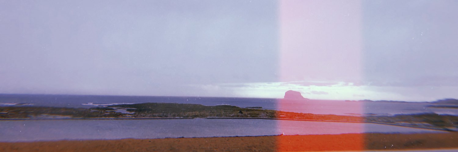 TaraNowy's profile banner image