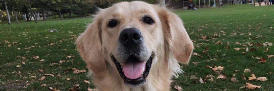 sekalee5's profile banner image