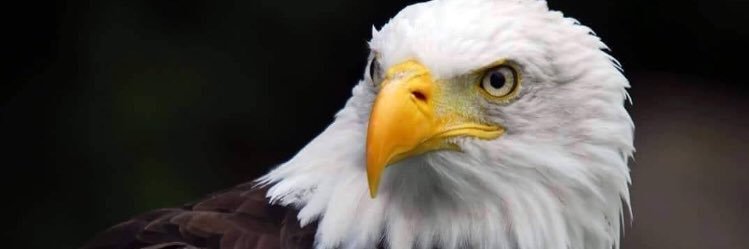 ataatlan's profile banner image