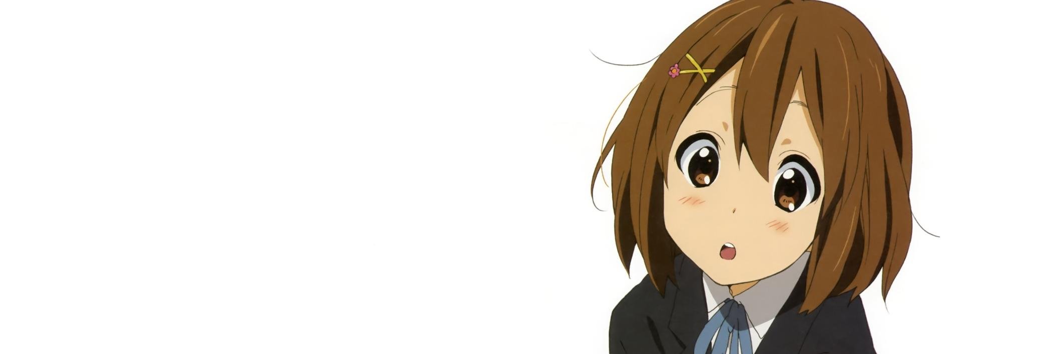 Rully banner