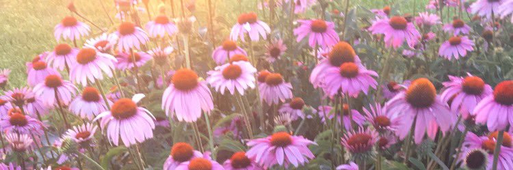 _gabrielabrown's profile banner image