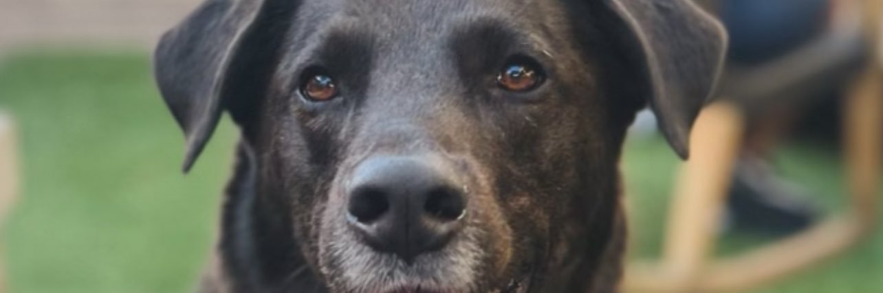 Paigeeee22's profile banner image
