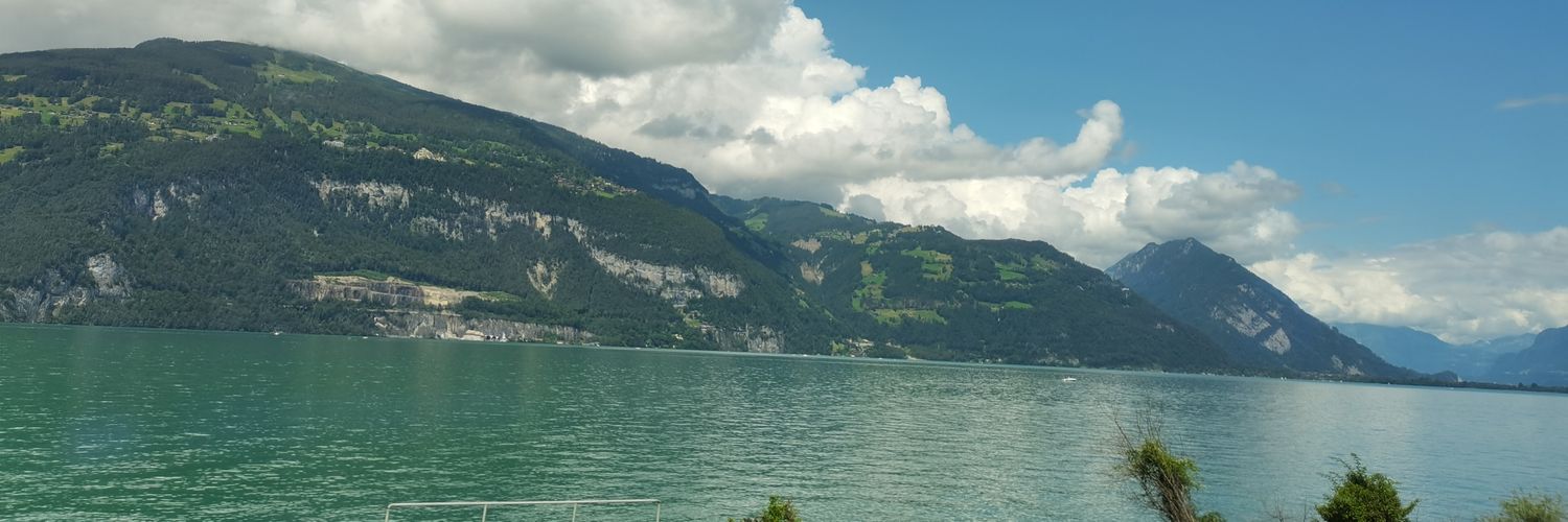 يحيى سليمان banner