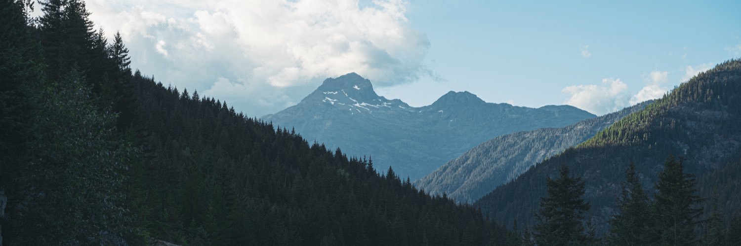 byrdspov's profile banner image