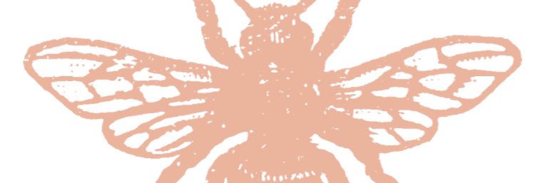 Irene Soave banner
