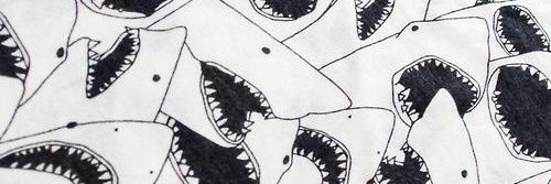 BaileyEbben's profile banner image