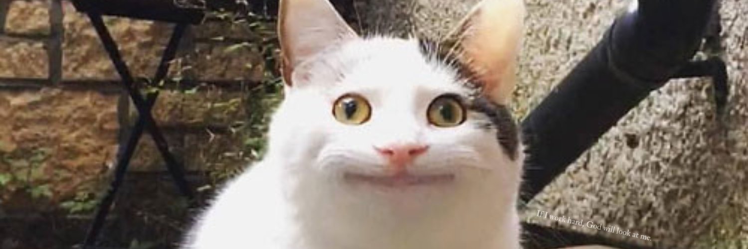 meweesd's profile banner image