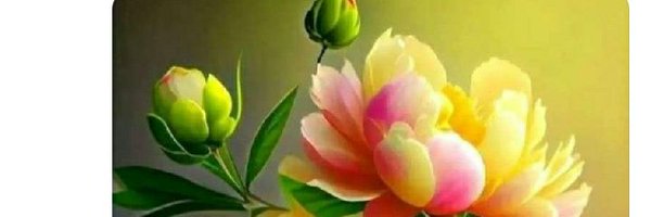 DevendraKandar1 Profile Banner