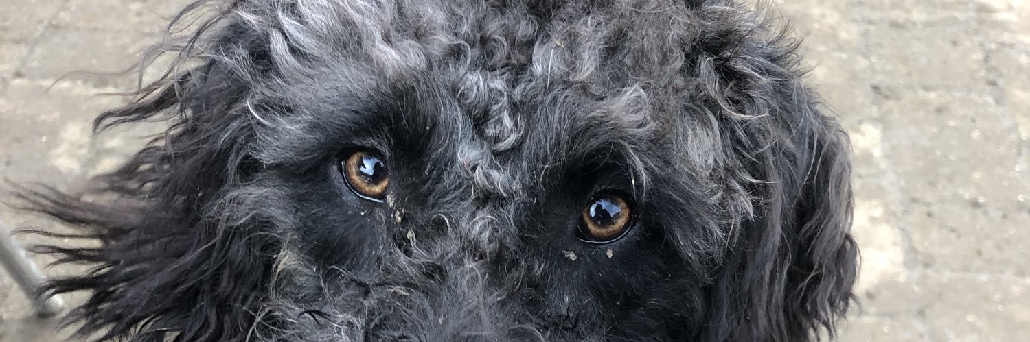 murphysmum19's profile banner image