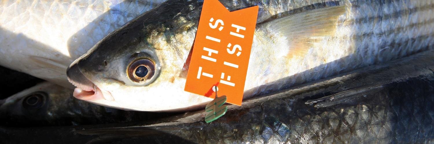 Jan/Bar Geertsema banner