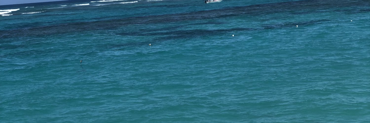 D banner