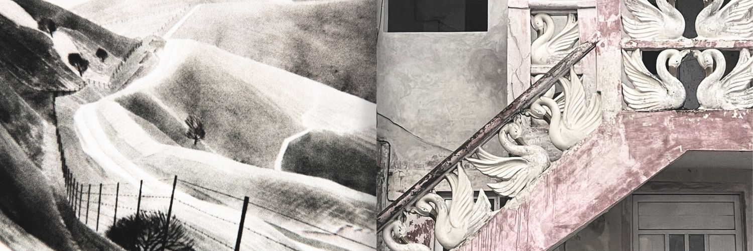 wodnni's profile banner image