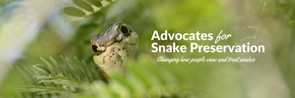 SnakeAdvocate Profile Banner