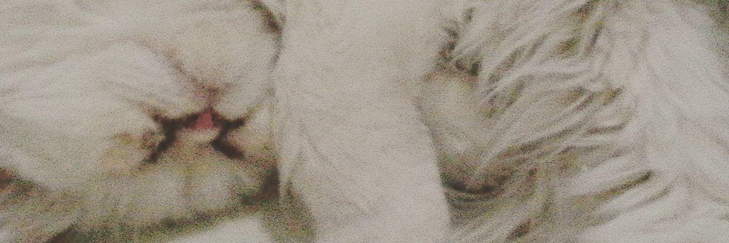 XomiAndrea's profile banner image