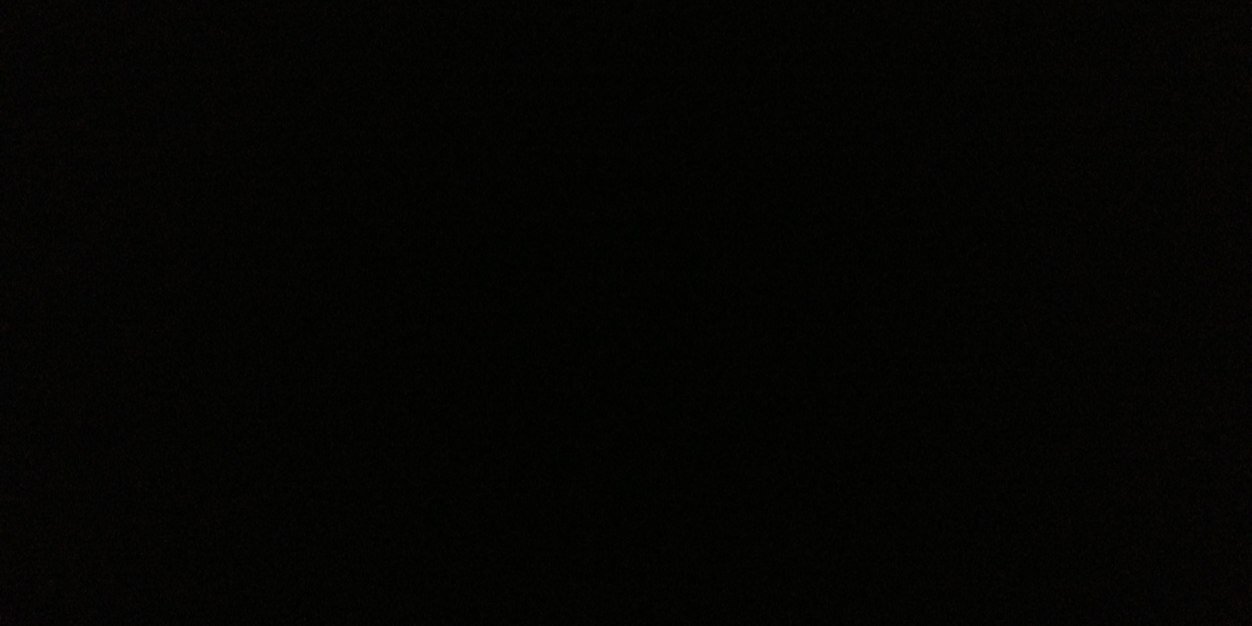 Daniela Gustin banner