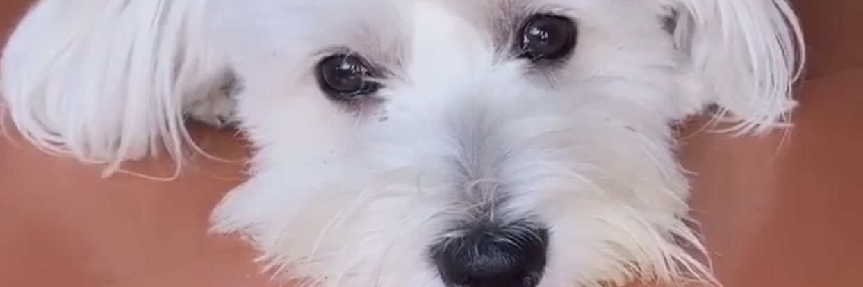 Sandramargets's profile banner image