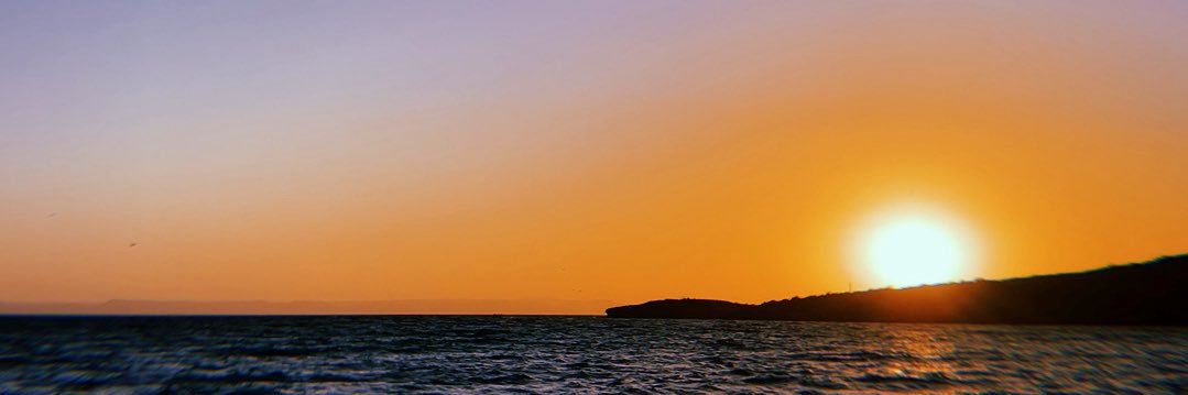privatehaitian's profile banner image