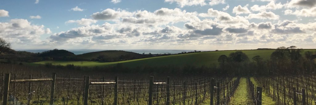 Terlinghamwines's profile banner image