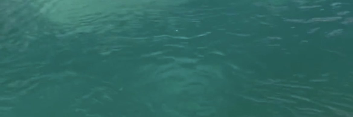 hollswbu's profile banner image