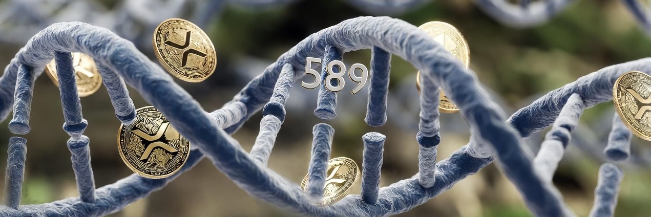 Your Crypto Light banner