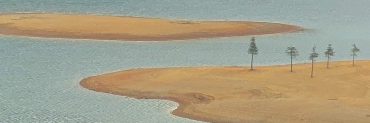 stillanniew's profile banner image