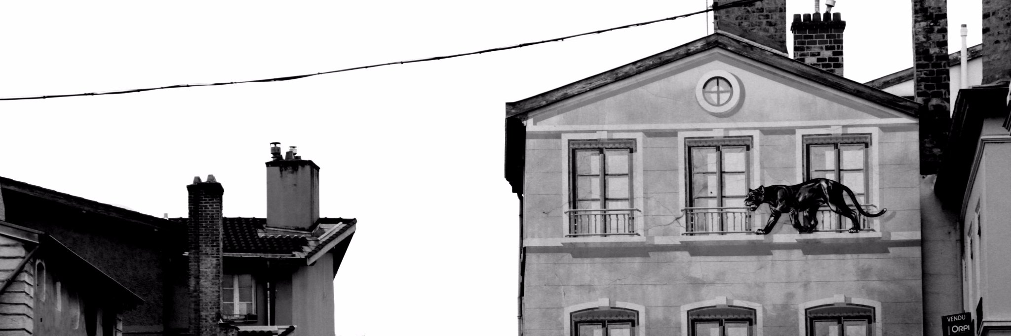 CarolineDums's profile banner image
