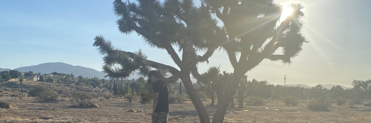 IslandLevvy's profile banner image