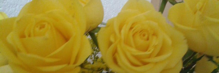 Mesther55's profile banner image