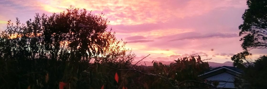 DrBarbaraAllen8 banner