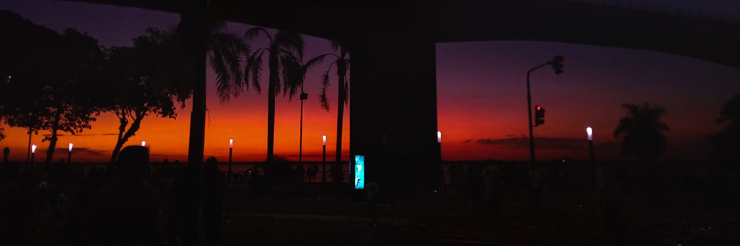 FlorPanozzo's profile banner image