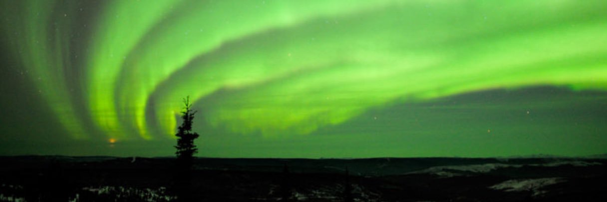 tjuneaux's profile banner image