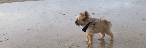 DarrenWebber18 Profile Banner