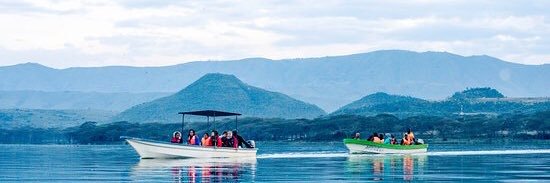 Wangari Muchiri banner