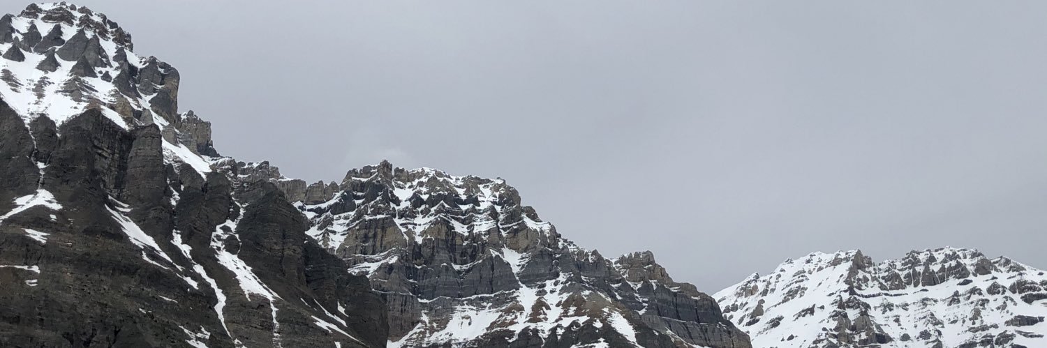 szeljk's profile banner image
