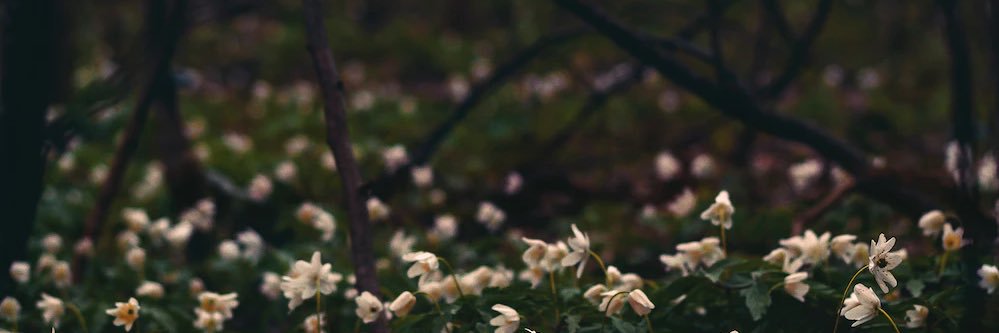 steelskyee's profile banner image