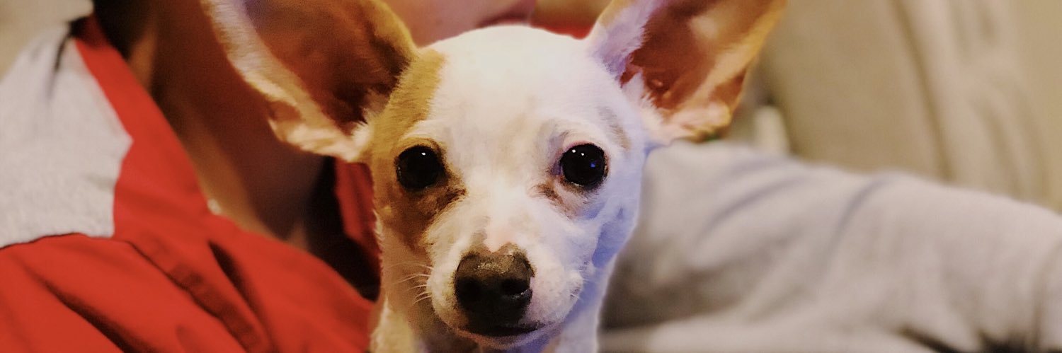 twacyyy's profile banner image