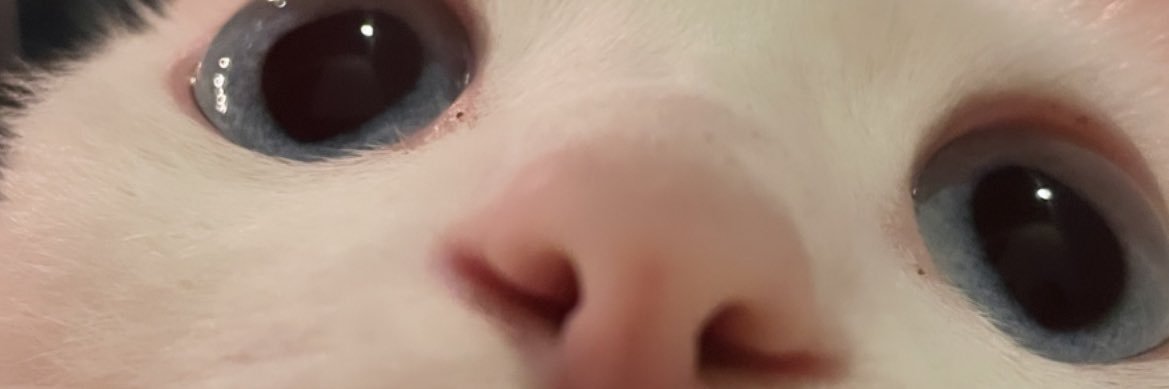 haleymillet's profile banner image
