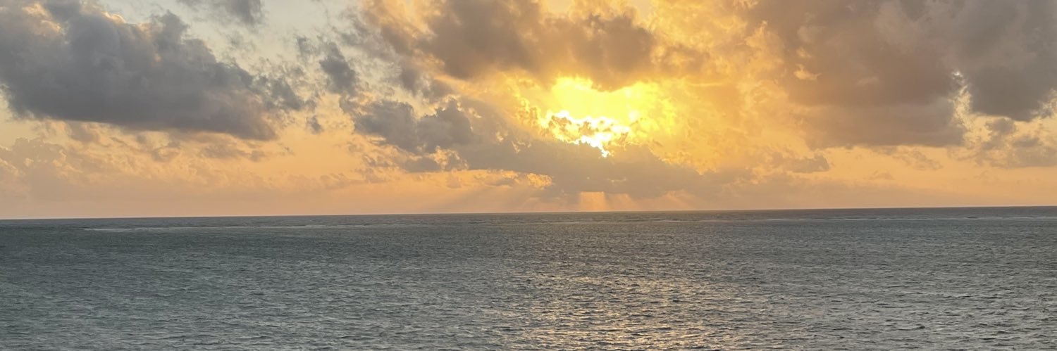 Latora1's profile banner image