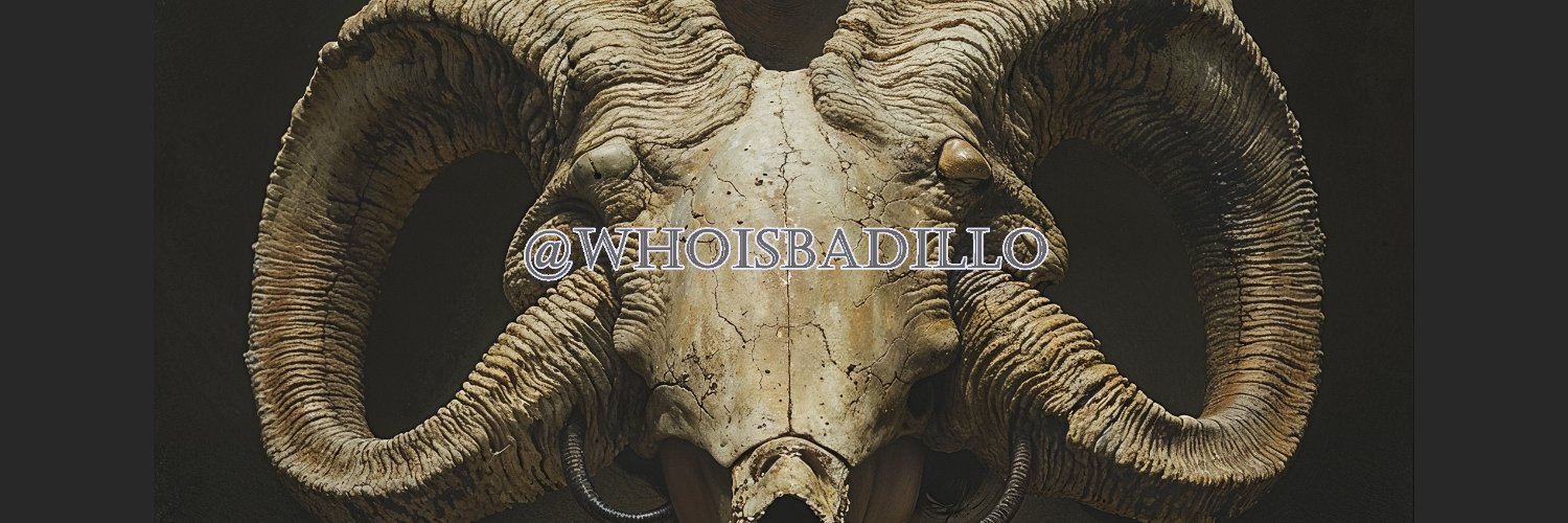 WhoisBadillo's profile banner image