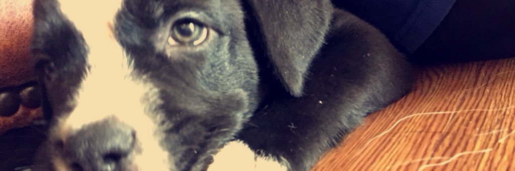 KamiGilstrap's profile banner image