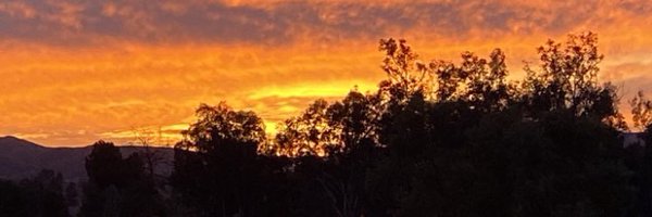 SteelersSix Profile Banner