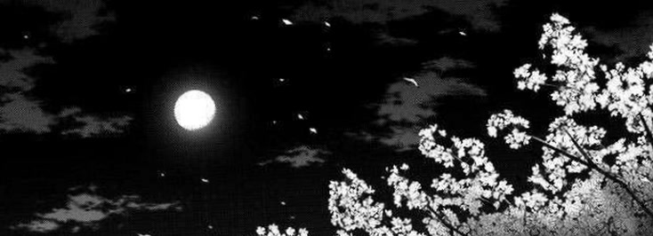 shellluna38's profile banner image